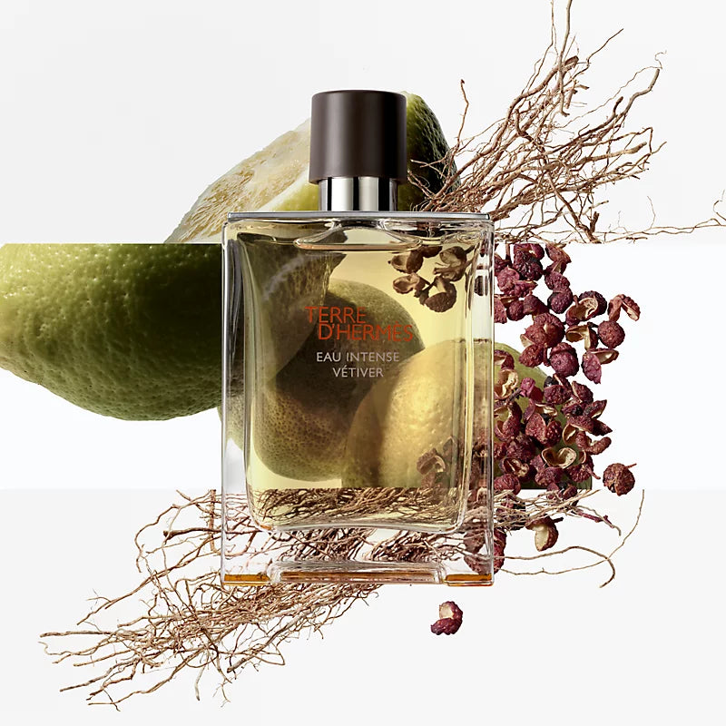 TERRE D'HERMÈS 100ML